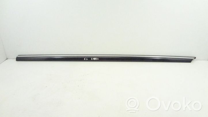 Mercedes-Benz CL C215 Front door glass trim molding 2156900180