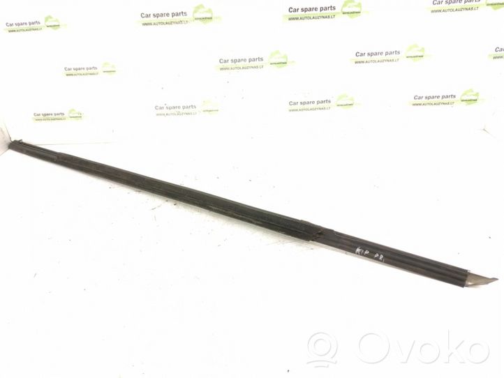 Mercedes-Benz CLS C218 X218 Moulures des vitres de la porte avant DALISID864