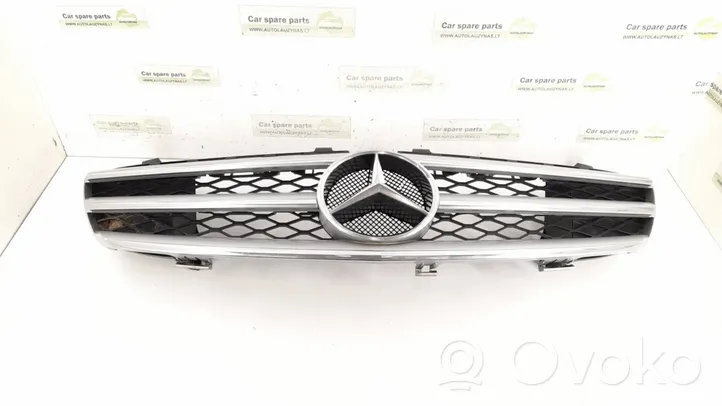 Mercedes-Benz R W251 Etusäleikkö 