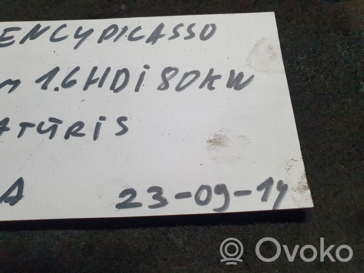 Citroen C4 Grand Picasso Purkštukas (-ai) (forsunkė (-ės) 328480