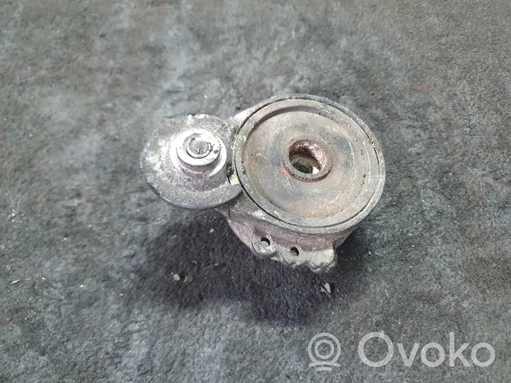 Audi A4 S4 B5 8D Napinacz paska alternatora 