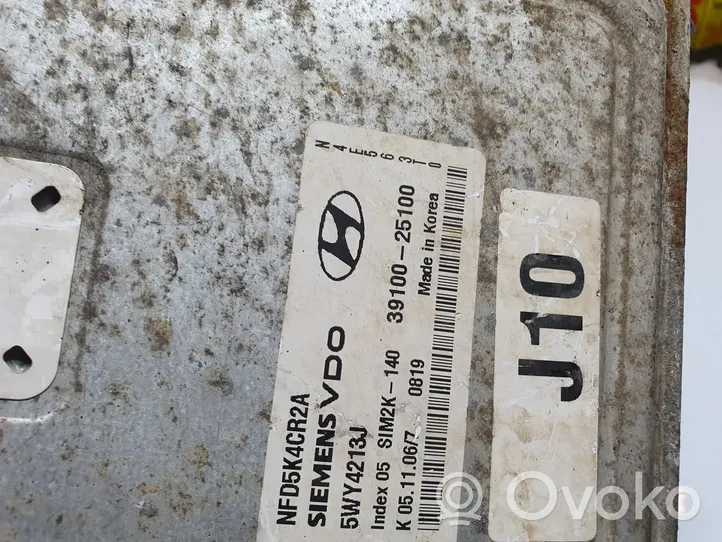 Hyundai Sonata Sterownik / Moduł ECU 3910025100