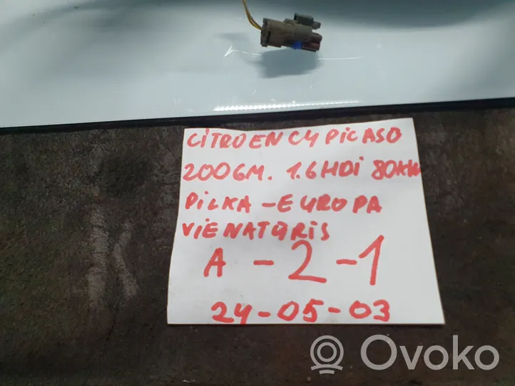 Citroen C4 I Picasso Elektryczne lusterko boczne drzwi przednich 024375