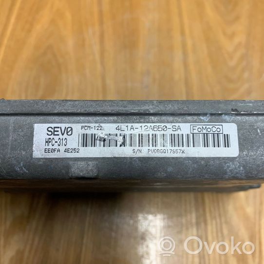 Ford Expedition Sterownik / Moduł ECU 4L1A12A650SA0