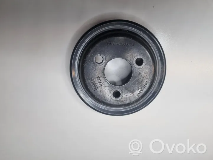 Ford Mustang VI Vandens pompos skriemulys 
