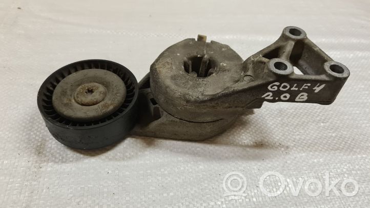 Volkswagen Golf IV Napinacz paska wielorowkowego / Alternatora 06A903315E