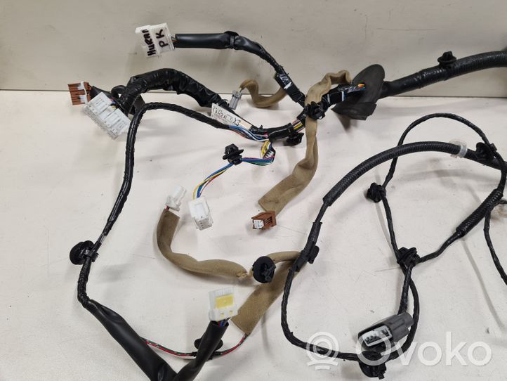 Nissan Murano Z51 Cableado de puerta delantera 241251AH2A