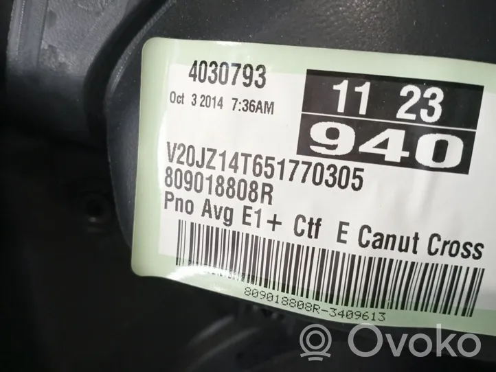 Renault Scenic RX Apmušimas priekinių durų (obšifke) 809018808R