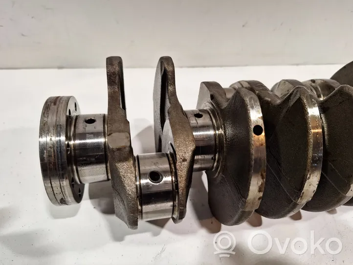 Fiat Tipo Crankshaft 