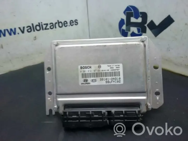 Hyundai Matrix Calculateur moteur ECU 391012A310