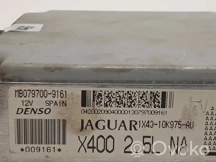 Jaguar X-Type Sterownik / Moduł ECU 1X4310K975AU