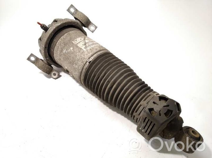 Audi Q7 4L Rear shock absorber/damper 7L8616019A