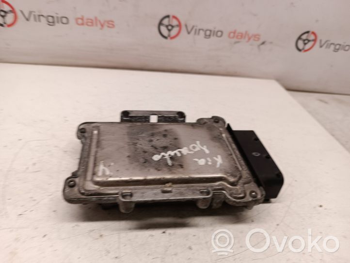 KIA Sorento Module de contrôle de boîte de vitesses ECU 954403bje0