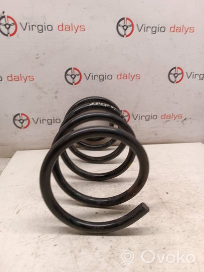 Hyundai Santa Fe Rear coil spring 