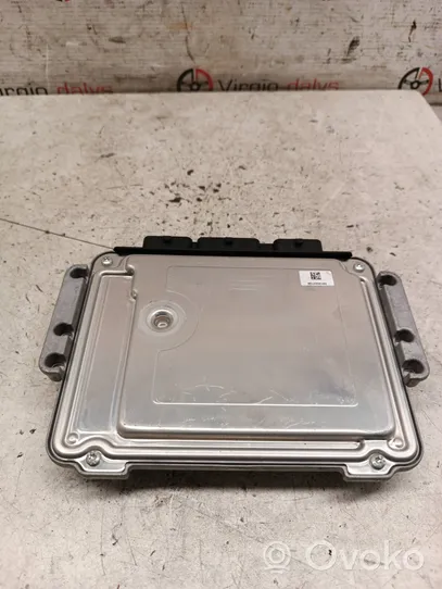 Citroen C4 I Picasso Sterownik / Moduł ECU 9662213180