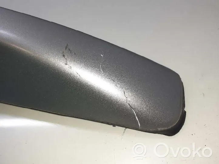 Opel Antara Rivestimento del tetto 