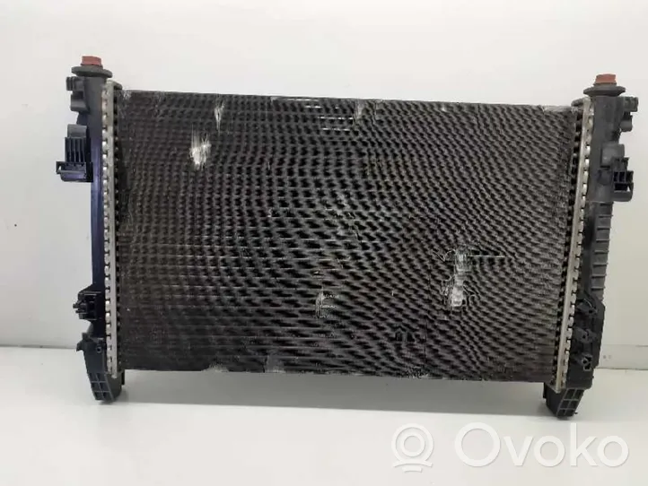 Mercedes-Benz A W169 Radiateur de refroidissement A1695003204