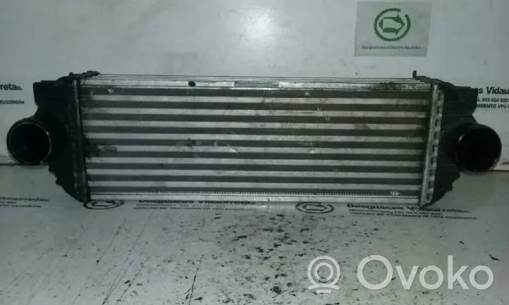 Ford Tourneo Starpdzesētāja radiators 4999282