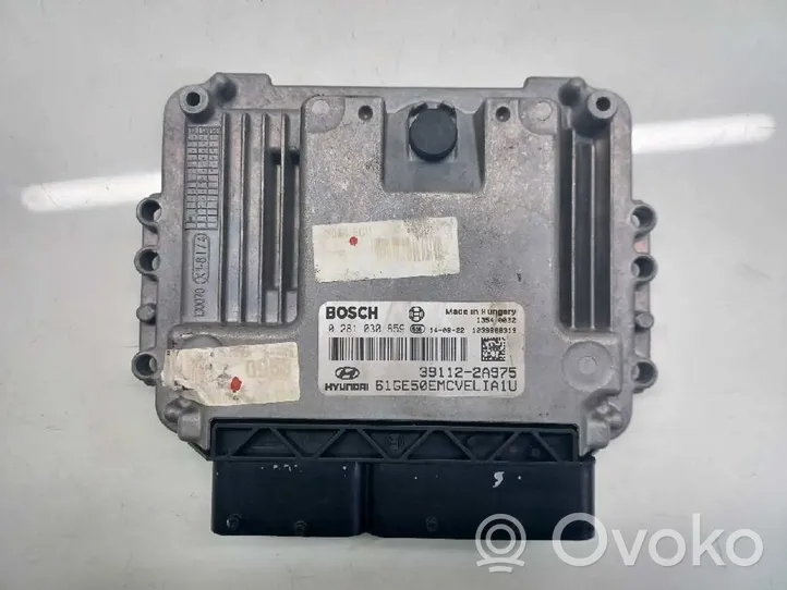 Hyundai i30 Centralina/modulo motore ECU 391122A975