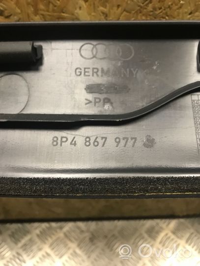 Audi A3 S3 A3 Sportback 8P Obere Heckklappen-/Kofferraumabdeckung 8P4867977C