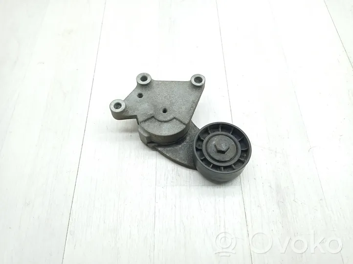 Volvo C30 Napinacz paska alternatora 846143