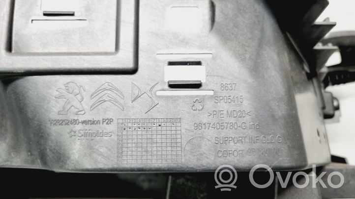 Citroen DS7 Crossback Kita salono detalė 9817405780