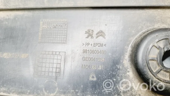 Citroen DS7 Crossback Šoninė dugno apsauga 9810609480