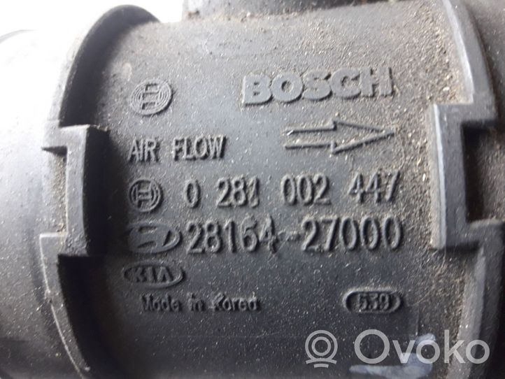 Hyundai Trajet Mass air flow meter 0281002447