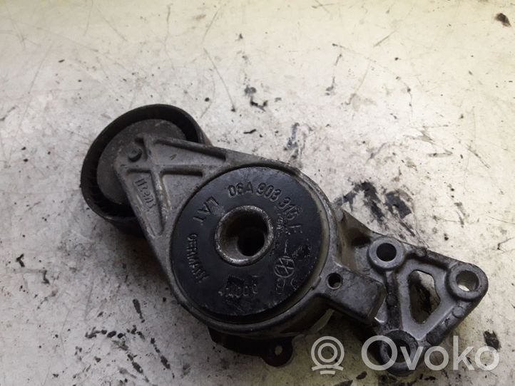 Volkswagen New Beetle Generator/alternator belt tensioner 06A903315E