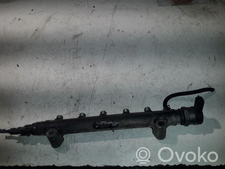 Hyundai Santa Fe Fuel splitter 0445214085