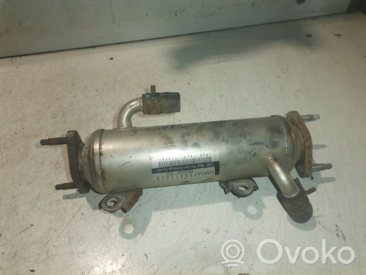 Chevrolet Captiva EGR valve cooler GMDAT96817829