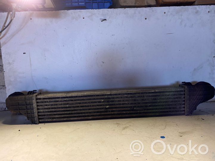 Mercedes-Benz E W211 Radiatore intercooler A2115001002