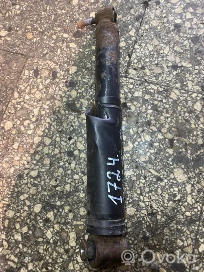 Renault Megane III Rear shock absorber/damper 