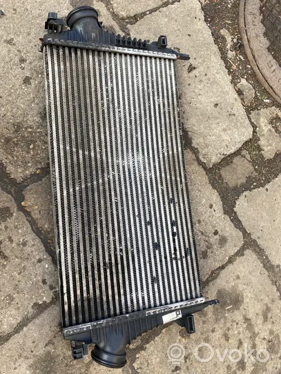 Opel Insignia A Chłodnica powietrza doładowującego / Intercooler 13241751