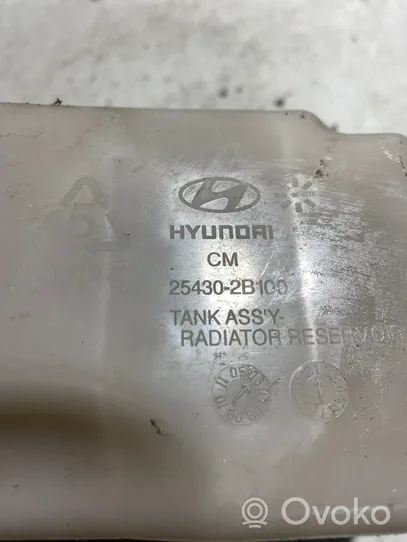 Hyundai Santa Fe Ausgleichsbehälter Kühlwasser 254302B100