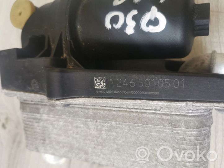 Infiniti Q30 Supporto di montaggio del filtro dell’olio 