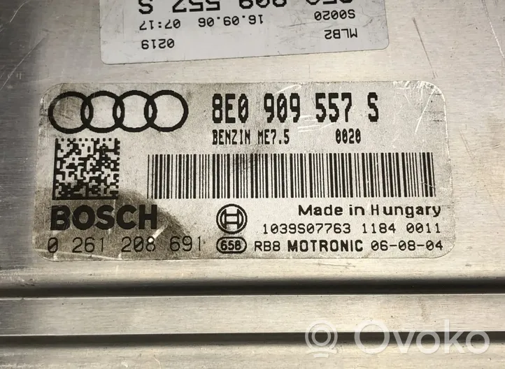 Audi A4 S4 B7 8E 8H Sterownik / Moduł ECU 0261208691