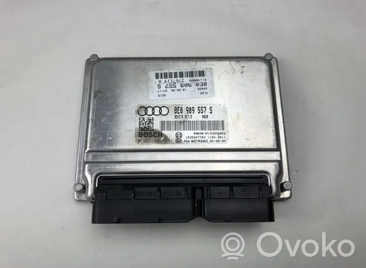 Audi A4 S4 B7 8E 8H Sterownik / Moduł ECU 0261208691