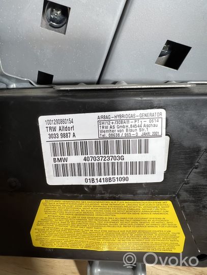 BMW 3 E46 Rear door airbag 30339887