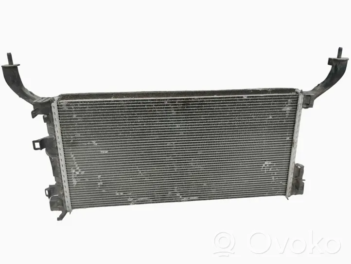 Renault Laguna III Radiatore di raffreddamento 214100004R