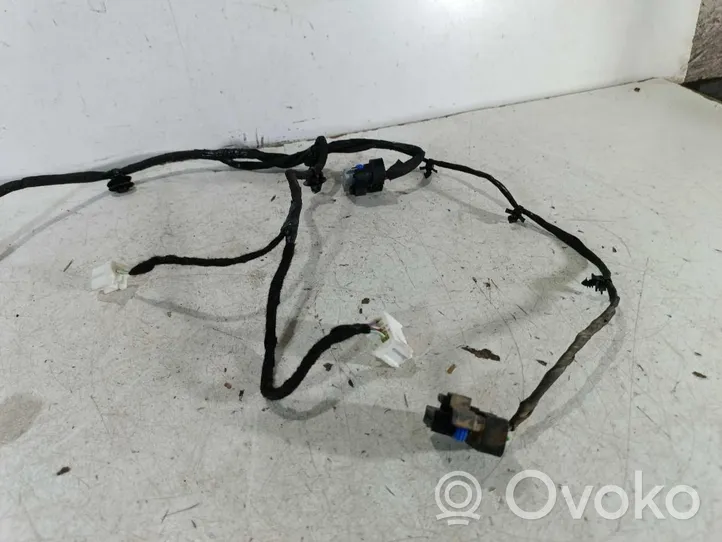 Nissan Qashqai Cableado de puerta trasera 24126HV00A