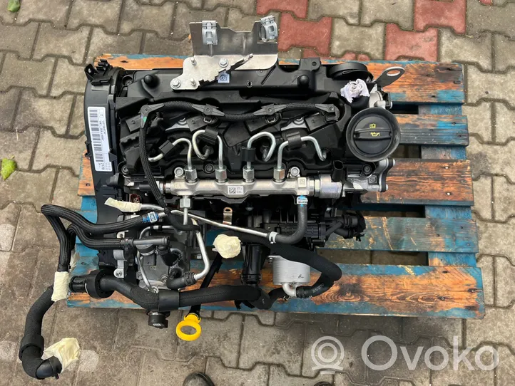 Volkswagen Golf VIII Moteur DTT