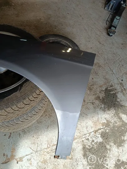 Volkswagen PASSAT B6 Fender 