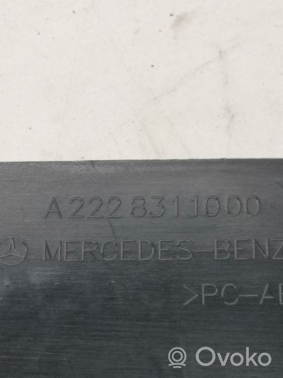 Mercedes-Benz S C217 Inne części wnętrza samochodu A2228311000