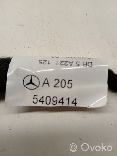 Mercedes-Benz GLC X253 C253 Cablaggio porta anteriore A2055409414