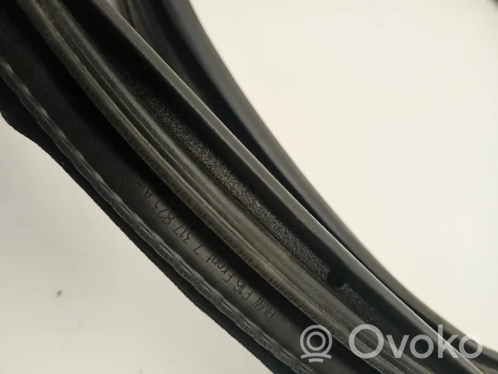 BMW X6 F16 Front door rubber seal 7317823