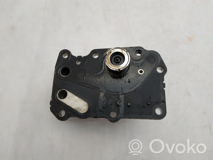 Land Rover Discovery Sport Variklio tepalo radiatorius G4D36A642BB