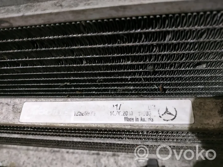 Mercedes-Benz E A207 Radiator set A2045000293