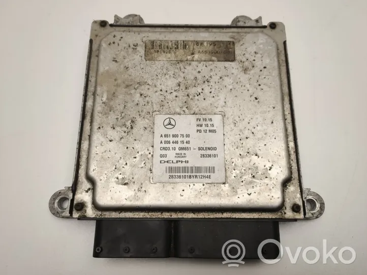 Mercedes-Benz E C207 W207 Calculateur moteur ECU A6519007500