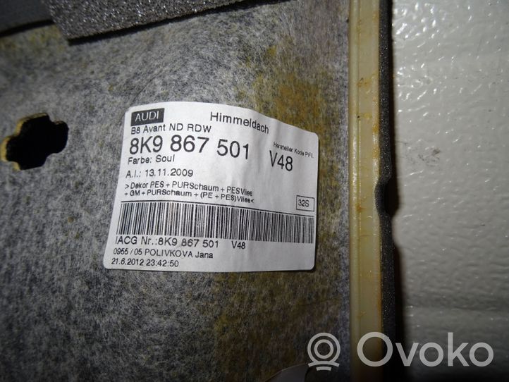 Audi A4 S4 B8 8K Rivestimento del tetto 8K9867501